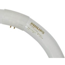 ΛΑΜΠΑ ΦΘΟΡΙΣΜΟΥ ΚΥΚΛ. T9 22W Φ205mm 6500K MASTER 865 PHILIPS ΛΑΜΠΑ ΦΘΟΡΙΣΜΟΥ ΚΥΚΛ. T9 22W Φ205mm 6500K MASTER 865 PHILIPS